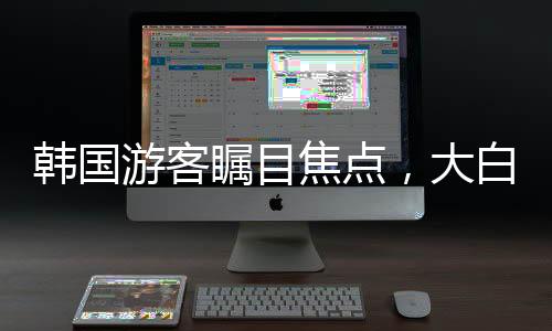 韓國游客矚目焦點，大白兔奶糖的甜蜜誘惑