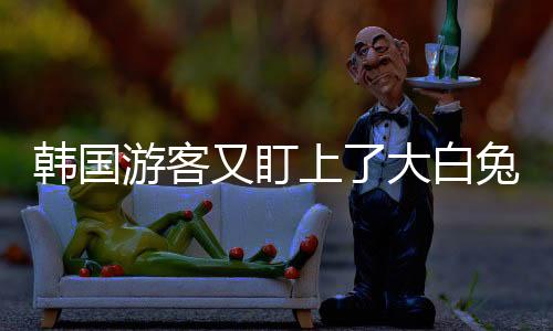 韓國游客又盯上了大白兔奶糖，旅游購物新寵的魅力揭秘