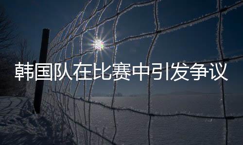 韓國隊在比賽中引發(fā)爭議，犯規(guī)行為及其影響