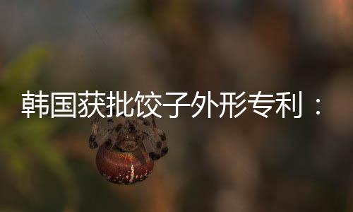 韓國(guó)獲批餃子外形專(zhuān)利：中餐館賣(mài)餃子或?qū)⑶謾?quán)