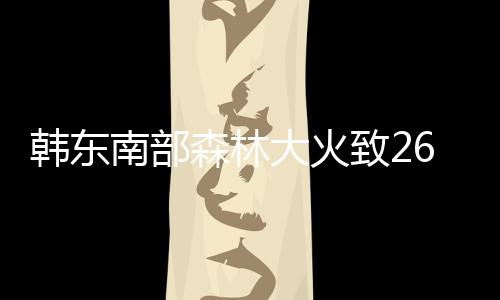 韓東南部森林大火致26人遇難 受害森林面積創(chuàng)新高