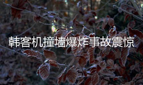 韓客機(jī)撞墻爆炸事故震驚全球，前負(fù)責(zé)人意外在家中離世