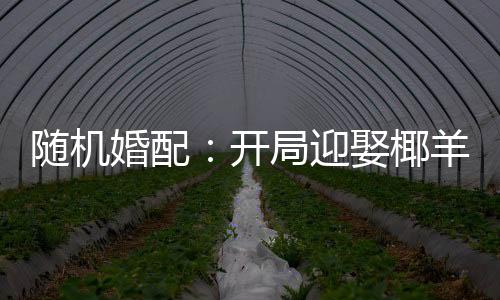 隨機(jī)婚配：開(kāi)局迎娶椰羊甘雨