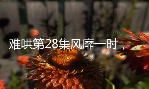 難哄第28集風(fēng)靡一時(shí)，引爆觀眾熱情