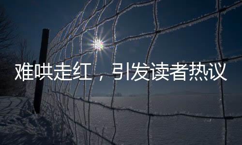 難哄走紅，引發(fā)讀者熱議