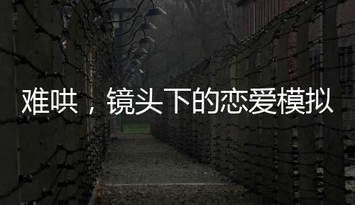 難哄，鏡頭下的戀愛模擬器，現(xiàn)實與虛擬的交織之旅