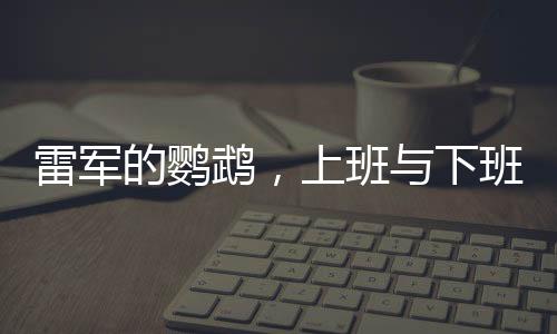 雷軍的鸚鵡，上班與下班的神奇故事