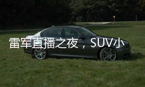 雷軍直播之夜，SUV小米七智駕的嘗試與挑戰(zhàn)傳奇難度的熱議上演
