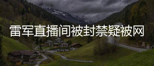 雷軍直播間被封禁疑被網(wǎng)友舉報，揭秘背后的故事與原因
