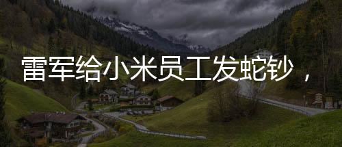 雷軍給小米員工發(fā)蛇鈔，一場(chǎng)特別的激勵(lì)與回饋活動(dòng)