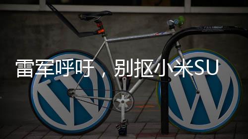 雷軍呼吁，別摳小米SU7 Ultra鍍金車標(biāo)
