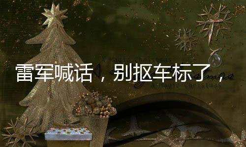 雷軍喊話，別摳車標(biāo)了，品質(zhì)與品牌共鑄未來
