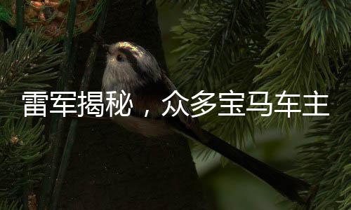 雷軍揭秘，眾多寶馬車主轉(zhuǎn)向小米，跨界融合引領(lǐng)智能生活新風(fēng)尚