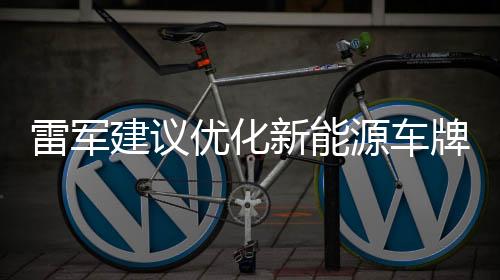 雷軍建議優(yōu)化新能源車牌顏色，推動(dòng)綠色出行再升級(jí)