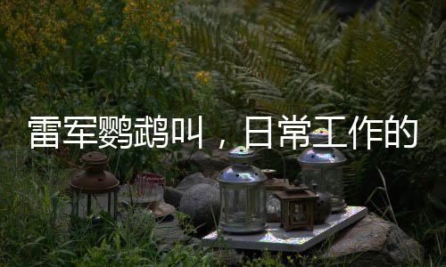 雷軍鸚鵡叫，日常工作的別樣呈現(xiàn)與辦公室的獨特生態(tài)體驗