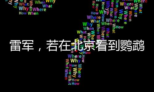 雷軍，若在北京看到鸚鵡綠，那便是我