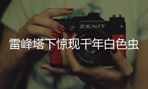 雷峰塔下驚現(xiàn)千年白色蟲子，神秘傳說再度引熱議
