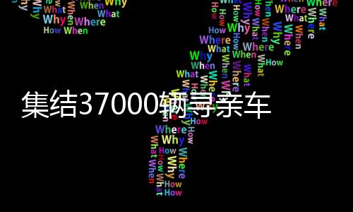 集結(jié)37000輛尋親車，一場跨越全國的尋親大行動(dòng)