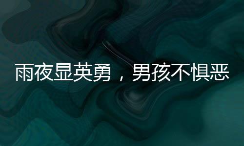 雨夜顯英勇，男孩不懼惡臭，黑洞中救出四只被困小狗