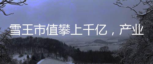 雪王市值攀上千億，產(chǎn)業(yè)巨頭迎來新里程碑