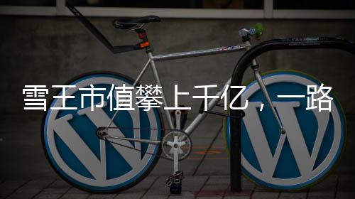 雪王市值攀上千億，一路高歌猛進(jìn)，成就行業(yè)巨頭