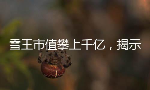 雪王市值攀上千億，揭示成功背后的力量與未來展望