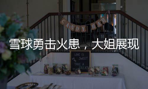雪球勇?lián)艋鸹迹蠼阏宫F(xiàn)不凡身手