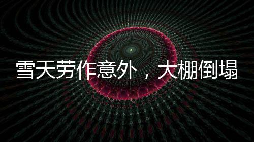雪天勞作意外，大棚倒塌顯現(xiàn)英勇瞬間