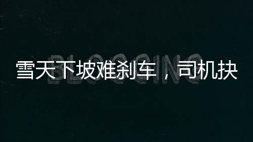 雪天下坡難剎車，司機抉擇引關(guān)注，挑選便宜車輛是否明智之舉？