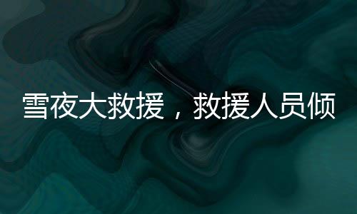 雪夜大救援，救援人員傾力救助野山中困陷的十一名驢友紀(jì)實(shí)