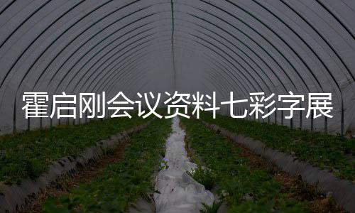 霍啟剛會(huì)議資料七彩字展現(xiàn)，展現(xiàn)獨(dú)特魅力與深度洞察