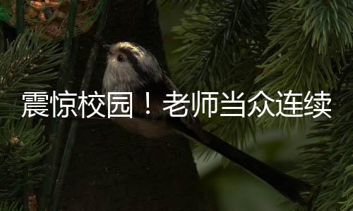 震驚校園！老師當(dāng)眾連續(xù)掌摑學(xué)生，當(dāng)?shù)鼗貞?yīng)緊急介入調(diào)查處理
