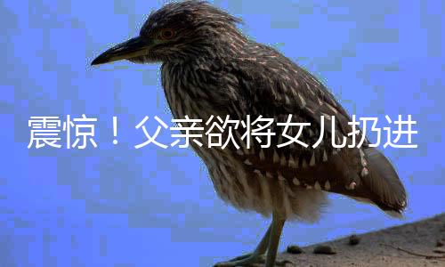 震驚！父親欲將女兒扔進河里，社會各界緊急關注