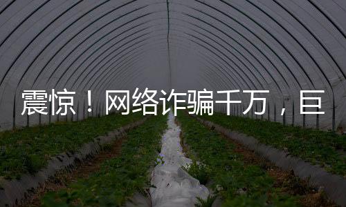 震驚！網(wǎng)絡(luò)詐騙千萬，巨額打賞700萬背后的故事