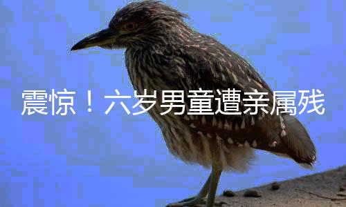 震驚！六歲男童遭親屬殘忍殺害——人間悲劇引發(fā)的深度思考