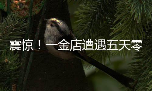 震驚！一金店遭遇五天零成交困境