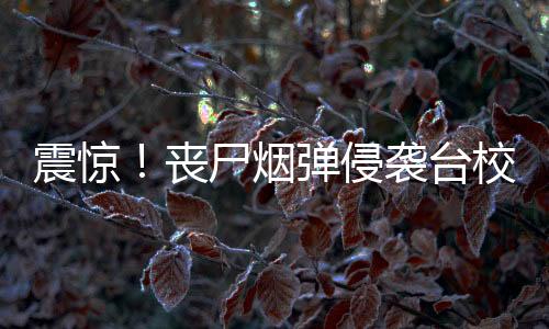 震驚！喪尸煙彈侵襲臺校園深度報道