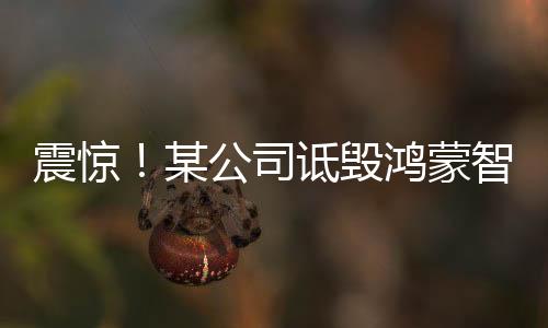 震驚！某公司詆毀鴻蒙智行，多人因涉嫌誹謗被捕