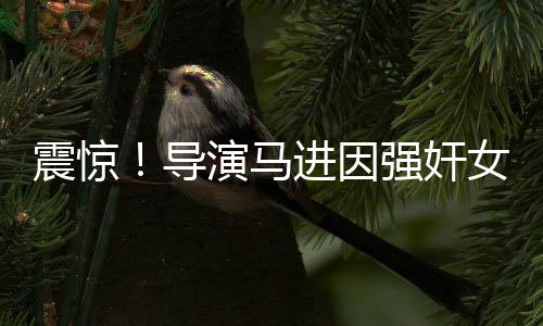 震驚！導(dǎo)演馬進(jìn)因強(qiáng)奸女星被判刑，行業(yè)內(nèi)部曝光