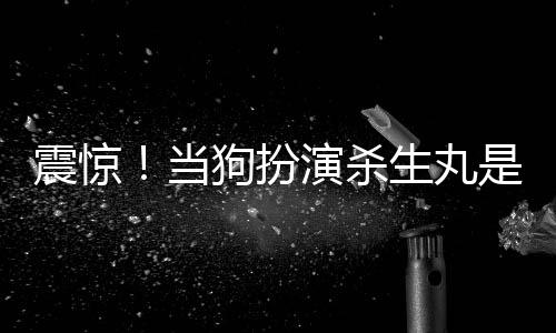 震驚！當(dāng)狗扮演殺生丸是什么鬼？