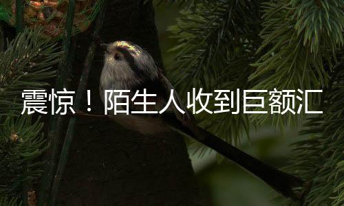震驚！陌生人收到巨額匯款，1.7億巨額轉(zhuǎn)賬背后的故事