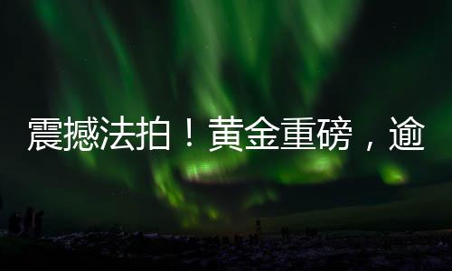 震撼法拍！黃金重磅，逾三百四十斤黃金待拍揭秘一場黃金拍賣盛宴