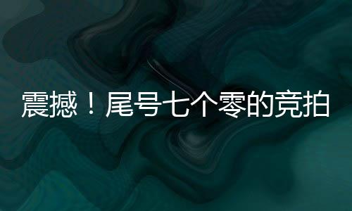 震撼！尾號(hào)七個(gè)零的競(jìng)拍成交價(jià)竟高達(dá)七百萬(wàn)