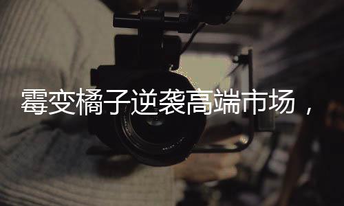 霉變橘子逆襲高端市場(chǎng)，二手平臺(tái)驚現(xiàn)天價(jià)奇貨現(xiàn)象揭秘