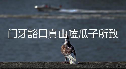 門牙豁口真由嗑瓜子所致？探秘真相揭曉答案