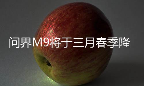 問界M9將于三月春季隆重上市，豪華轎車的新標(biāo)桿（一二三四五六七八九十）