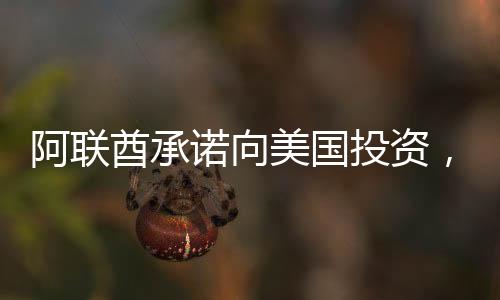 阿聯(lián)酋承諾向美國(guó)投資，開(kāi)啟新的經(jīng)濟(jì)篇章