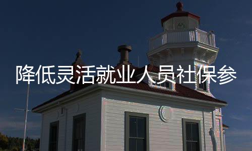 降低靈活就業(yè)人員社保參保門檻，保障更廣泛的靈活就業(yè)群體的權(quán)益與福祉