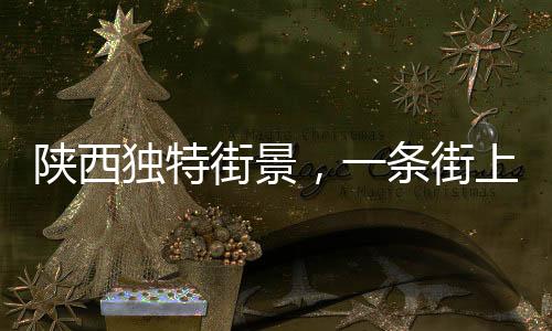陜西獨特街景，一條街上排開22家理發(fā)店，形成行業(yè)風(fēng)景線的奧秘探尋