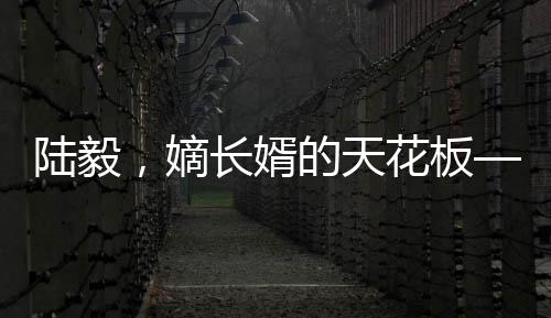 陸毅，嫡長婿的天花板——深度探究其獨(dú)特魅力